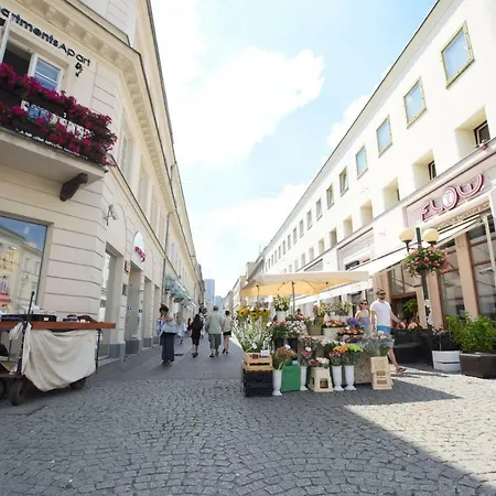 Apartman Elegant Panoramic *